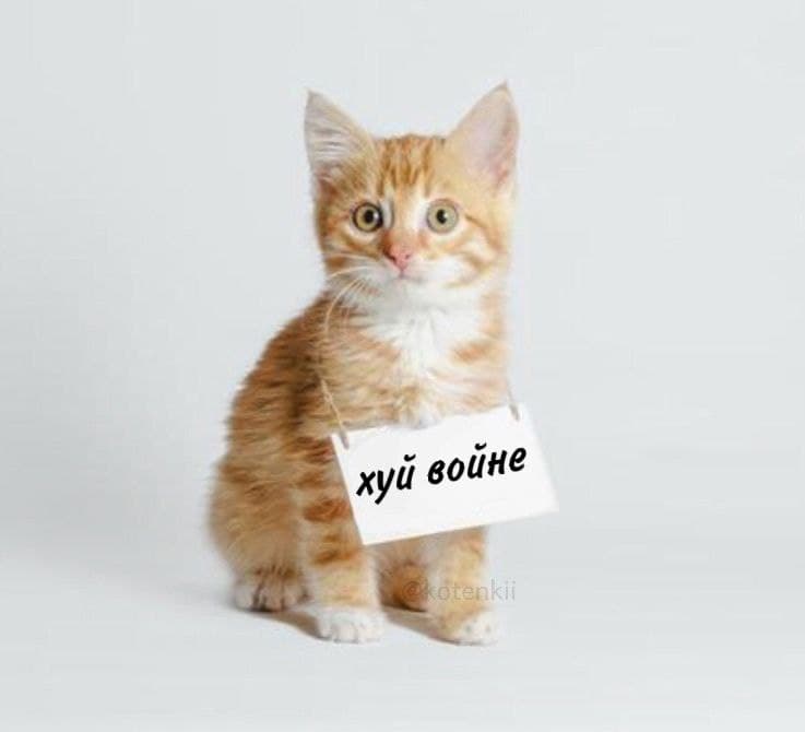 хуй войне хуй войне